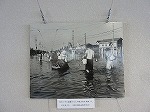 泥水の中を避難する人たち（港図書館　パネル展示「防災・伊勢湾台風展」）