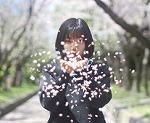 桜の魔法（山田図書館　「山田高校写真部作品展」）