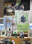東山動植物園提供の写真も掲示しています。（山田図書館　「サル・ゴリラ・チンパンジー～東山動植物園「新ゴリラ・チンパンジー舎」オープン記念～」）
