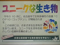 瑞穂図書館企画展示の大きな画像へ