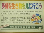 瑞穂図書館企画展示見出しの大きな画像へ