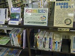 瑞穂図書館企画展示の大きな画像へ