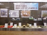 昭和区の遺跡と出土品の大きな画像へ