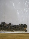 「問題６」拡大画像へ