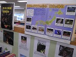 日本の絶滅危惧生物（山田図書館展示の様子）の大きな画像へ