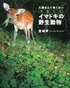 『イマドキの野生動物 人間なんて怖くない』表紙画像