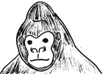 しゃーねーな!教えてやるか。