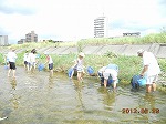 ガサガサ探検(昨年度の様子)(守山図書館 「第3回矢田川自然体験学習(現地観察会)」)