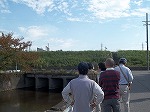 新地蔵川と八田川の交差地点。土手の上に八田川が流れています。（楠図書館　「楠・水物語２～立体交差した川を見て歴史を感じながら歩こう！～」）