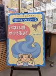 堀川まちづくりの会のキャラクター、ホリバーちゃんです。（南陽図書館　「フェアトレードを知る展示」）