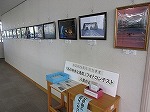 パネル展示の全体写真です。（港図書館　パネル展示『港区制80周年記念事業フォトコンテスト「私の好きな港区」』）