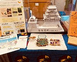 カウンターの展示（南陽図書館　「フェアトレードを知る展示」）