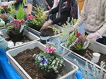 みんなで寄せ植えを作成しているところ（志段味図書館　園芸講座「秋から冬のガーデニングを楽しもう！」を行いました）