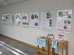 パネル展示の全体風景です。（港図書館　パネル展示「農林水産業及び食に関する展示」）