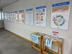 パネル展示の全体風景です。（港図書館　パネル展示「トレーサビリティ」）