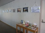 パネル展示の全体風景です。（港図書館　パネル展示「2017南陽支所フォトコンテスト入賞作品展示」）