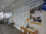 パネル展示の全体風景です。（港図書館　パネル展示「高齢者・障害者が安心して暮らせるまちづくり」）