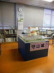 階段を上がってすぐに設置しています。（守山図書館　郷土資料コーナーに「守山城模型」を設置しました）