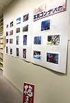 写真コンテストの作品（中川図書館　「前田利家荒子梅苑梅まつりコンテスト」）"