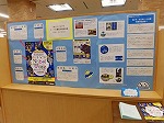 展示の様子