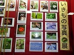 展示ケースの部分写真4