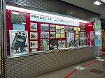 展示の写真1