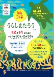 瑞穂図書館「かげえにんぎょうげき」チラシ画像
