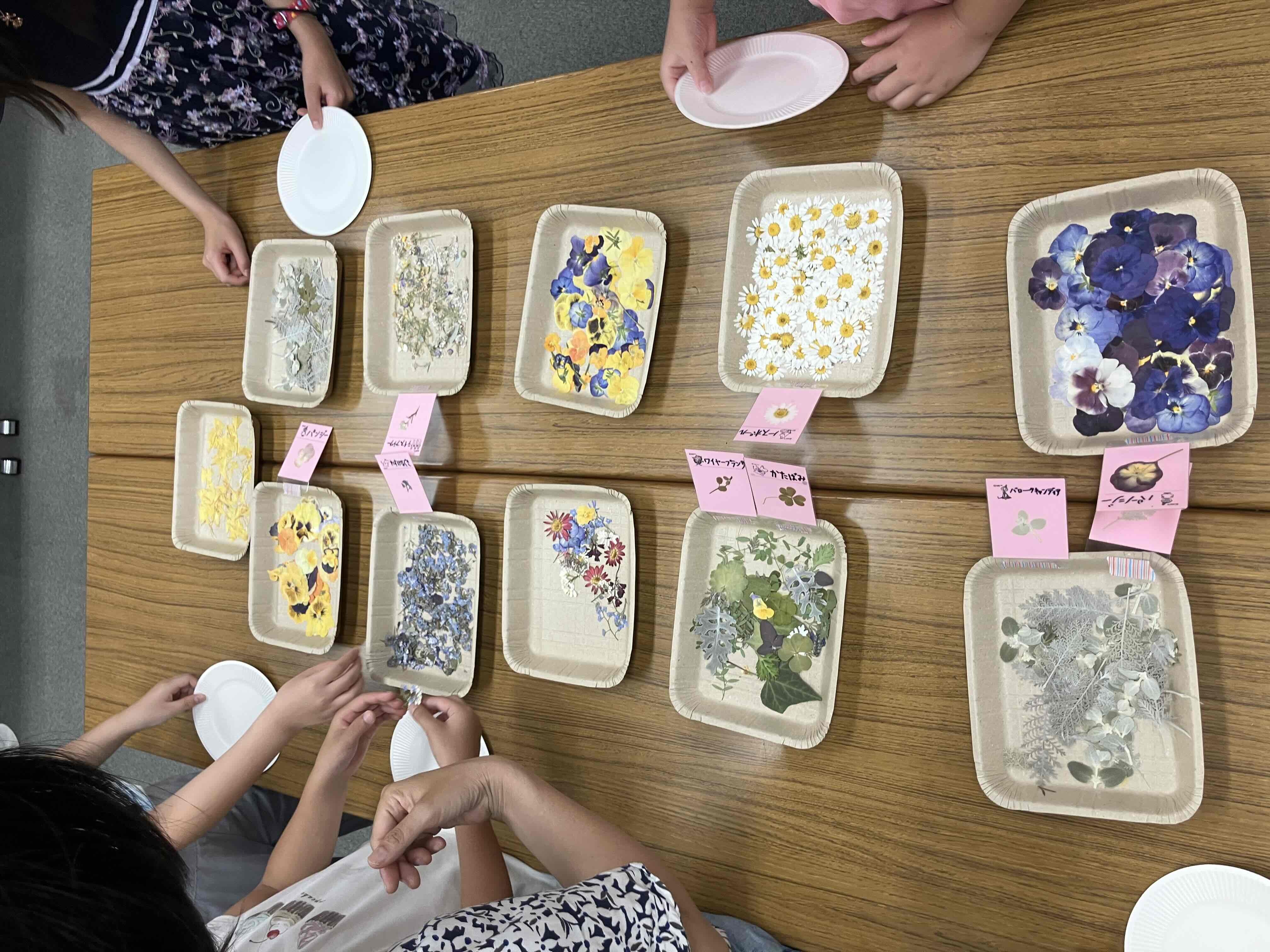 鶴舞中央図書館「押し花のしおりを作ってみよう!」の写真2