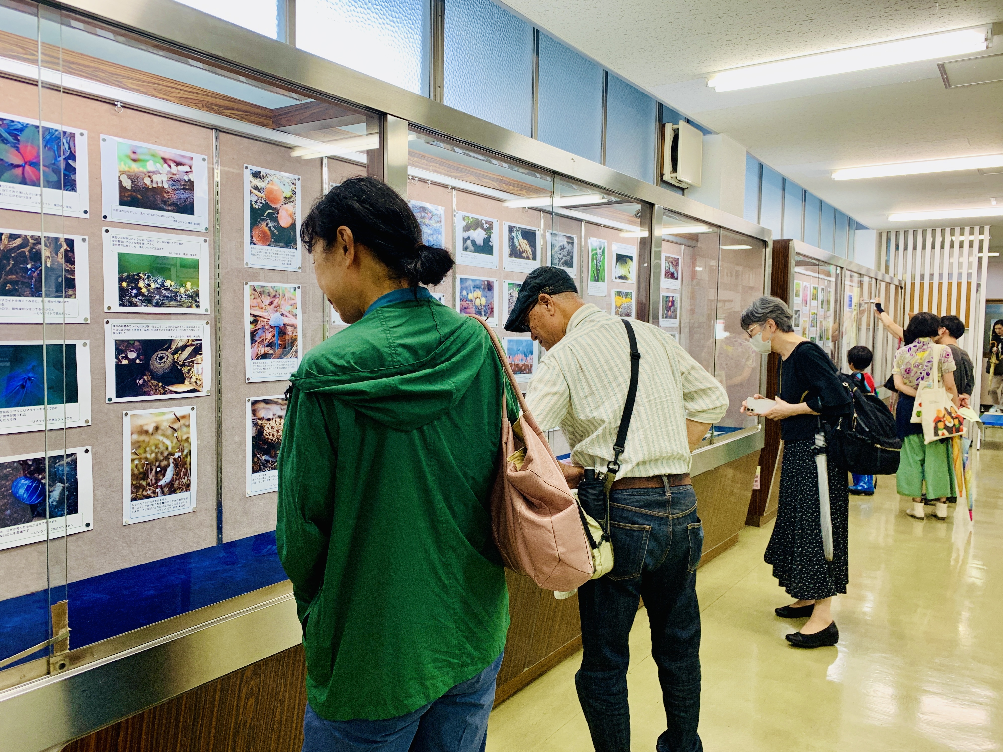 千種図書館 講演会「粘菌たちのちいさなせかい」の写真4