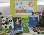 虫がいっぱい！　―港図書館―