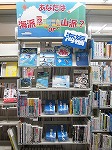 展示風景（志段味図書館　「あなたは海派？or山派？　～海編～」）