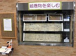 展示の様子（鶴舞中央図書館　「絵巻物を楽しむ」）