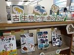 展示の様子