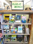 展示の様子