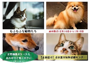 天白図書館　「もふもふな動物たち」展示看板＜PDF形式　857KB＞