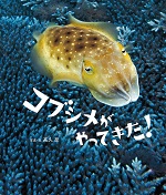『コブシメがやってきた！』表紙画像