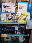 なんよう図書館　「ギョギョギョッ！海辺（うみべ）のいきものの本」