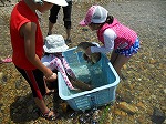 大きなコイは重い！（もりやま図書館　「第6回矢田川自然体験学習」）