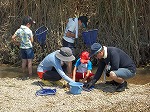 ２日めは、川に入って自分で生きものをつかまえます。（くすのき図書館　子どもかんきょう講座）