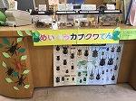 めいとうカブクワてん（めいとう図書館　「めいとうカブクワてん」かいさい中！）