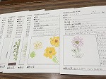 植物をしらべました！（めいとう図書館　ジュニアサポーターで生き物図鑑（ずかん）を作りました！）