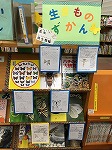 昆虫や爬虫類までいるんだね！（めいとう図書館　「めいとう図書館生きもの図鑑」）