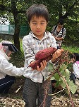 やった～！（めいとう図書館　「秋のいもほりおはなし会」をおこないました）