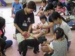 ワンちゃんとのふれあいタイム。やさしくさわります。（みなと図書館　夏休み動物愛護教室　動物のいのちについてかんがえよう！）