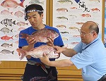 天然のタイと養殖のタイを比べる様子（みなと図書館「魚のプロが教える和食づくり」）