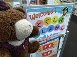 ぬいぐるみが図書館のおしらせを見ているところ