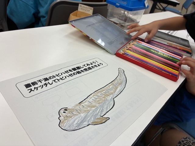 なんよう図書館「夏休み冬休みのイベント」藤前干潟ワークショップの写真1