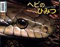 『ヘビのひみつ』表紙画像