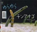 『ゆらゆらチンアナゴ』表紙画像