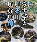 『ウナギのいる川いない川』表紙画像